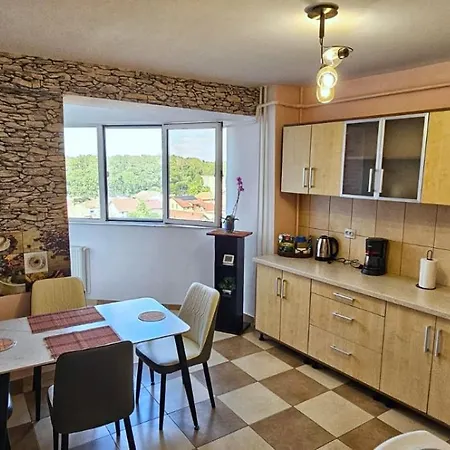 Apartment Casa Vasy Timisoara